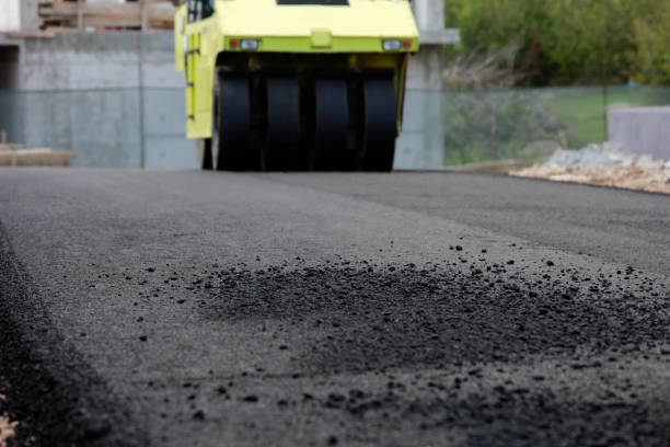 Best Best Driveway Pavers  in Park River, ND