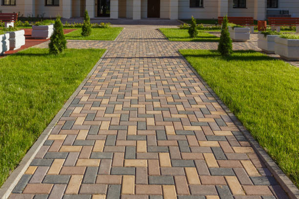 Best Custom Driveway Pavers  in Park River, ND